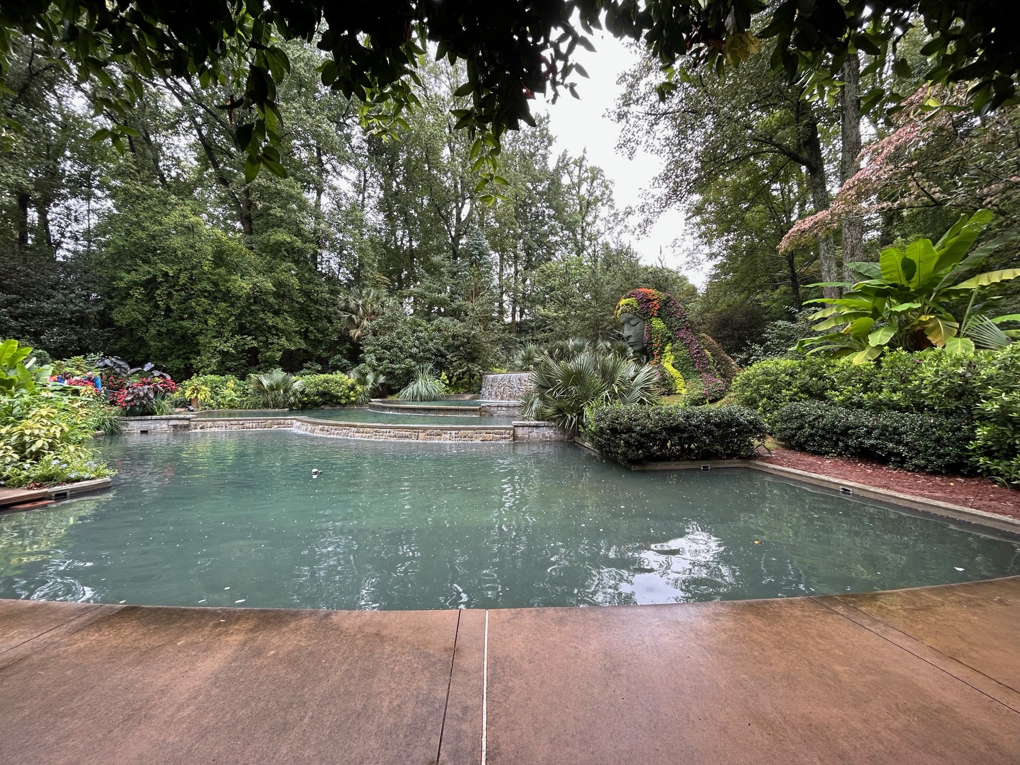 Garden pool surrounded by greenery